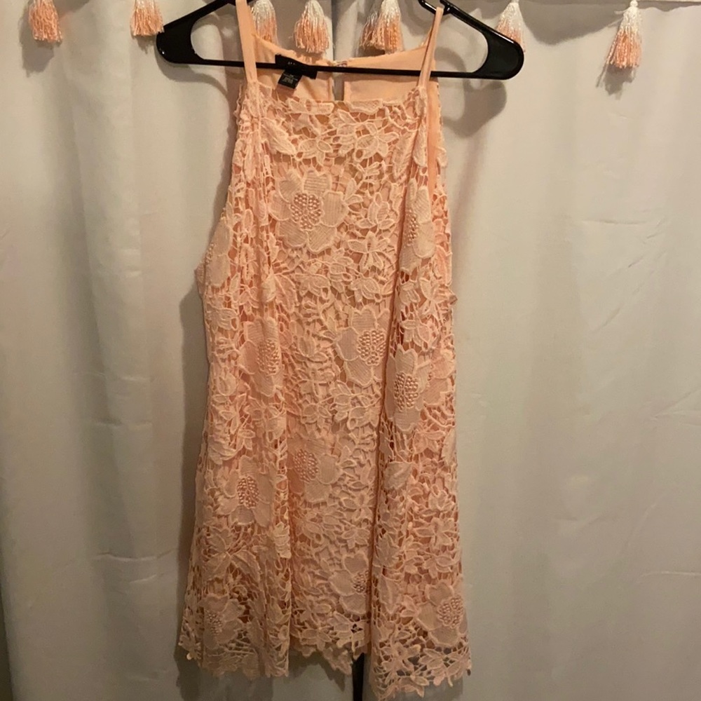 Light Pink, Floral Lace Overlay Dress